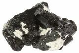 Black Tourmaline (Schorl) Crystal Cluster - Namibia #69174-1